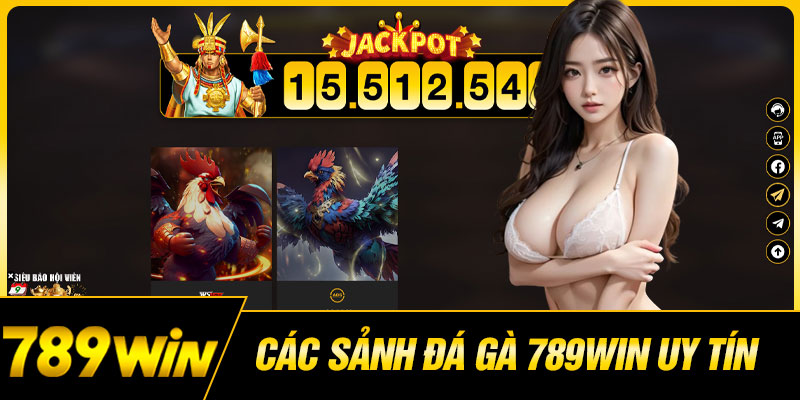 Các sảnh đá gà 789WIN uy tín