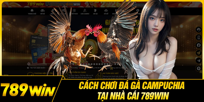 Cách Chơi Đá Gà Campuchia Tại Nhà Cái 789WIN