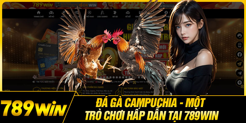 Đá Gà Campuchia - Một Trò Chơi Hấp Dẫn Tại 789WIN
