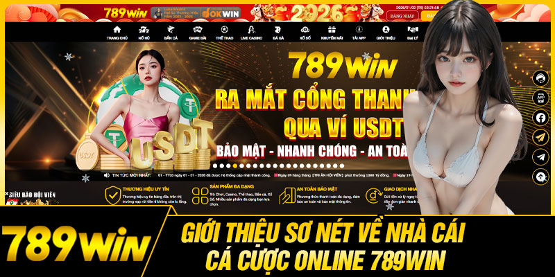 Giới Thiệu Sơ Nét Về Nhà Cái Cá Cược Online 789WIN 