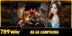 Đá Gà Campuchia